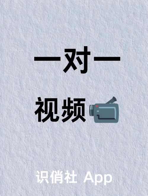 1对1视频聊天