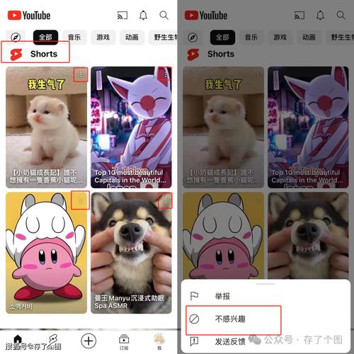油管y红包版