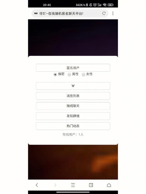 匿名聊天网页版