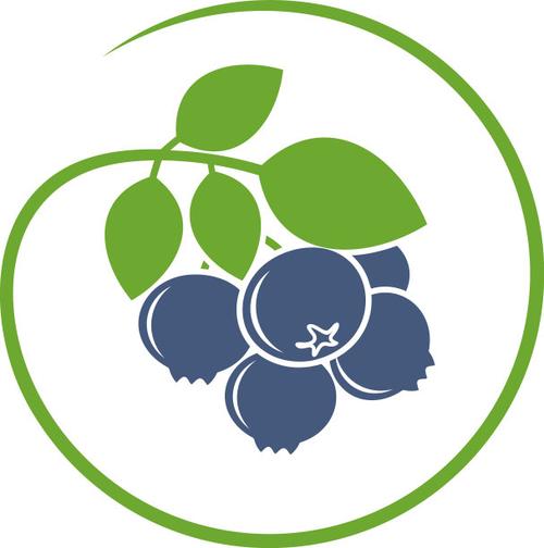蓝莓的视频抢先版