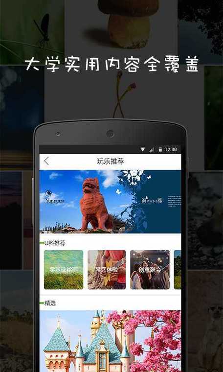 sumr字母圈