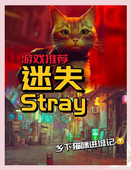 迷失stray