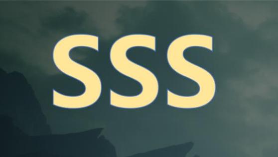 wwwsss成
