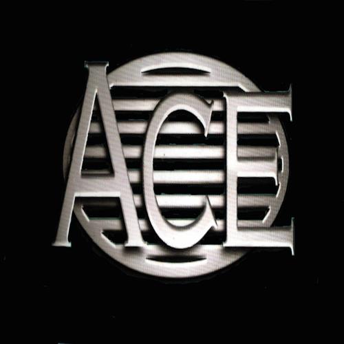 ACE动漫版