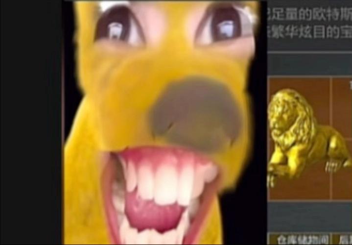 小杰画质怪兽