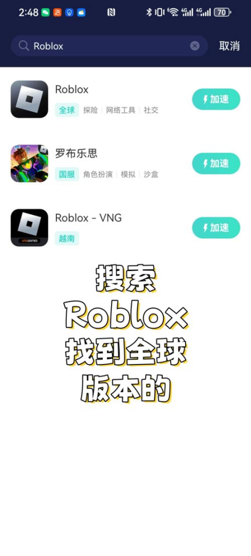 罗布乐思国际服安装器2025修改版最新版