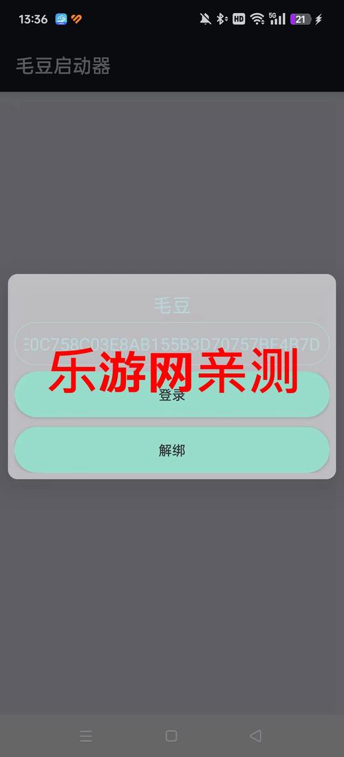 毛豆外挂直装安污版