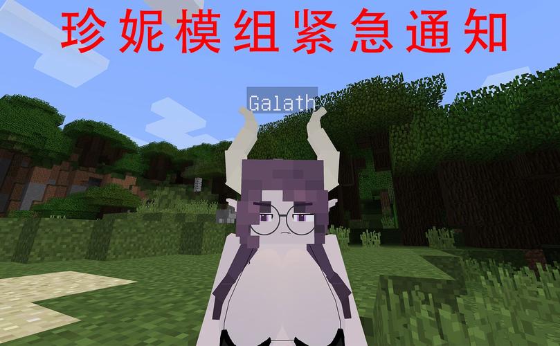 我的世界java版珍妮下载