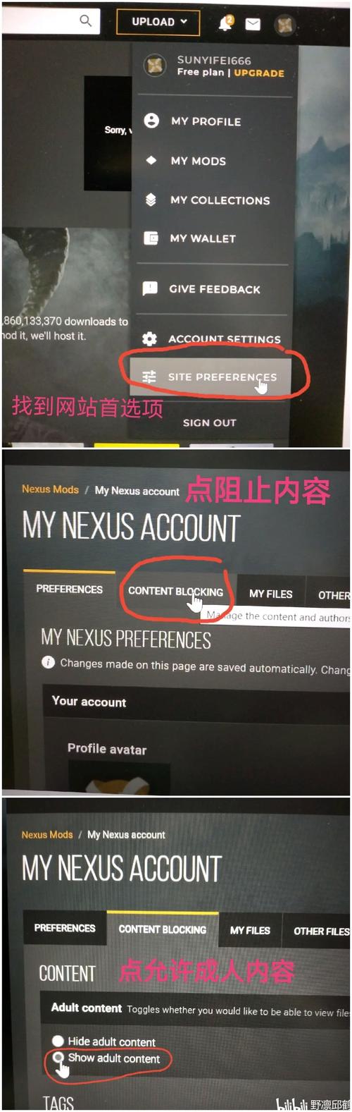 nexusmods中文官网破解版永久VIP