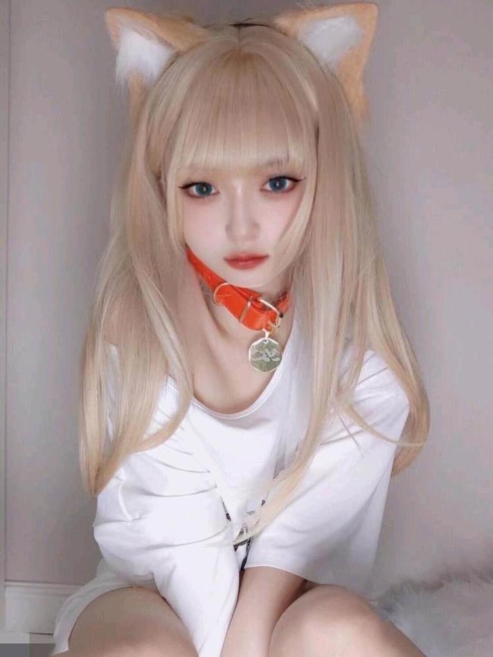 占星猫cute