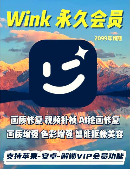 最新wink解锁版