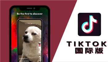 tiktok成年人版脸部特效安卓下拉