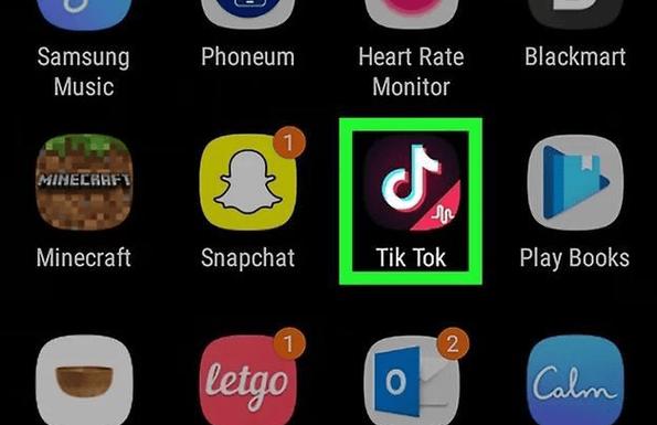 tiktok成年人版脸部特效安卓赚钱版