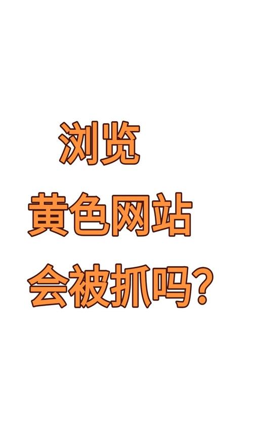 pilipili安装入口黄化版