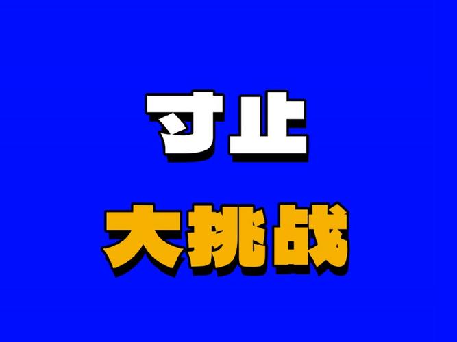 每日大赛主题大赛寸止挑战永久不升级