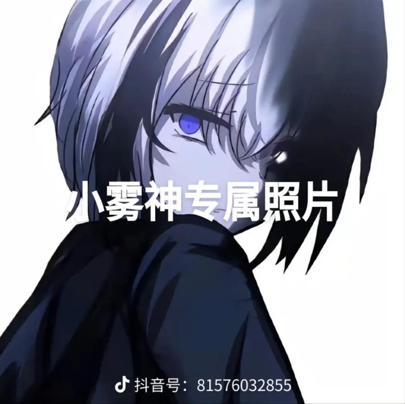小雾神美化包永极速版