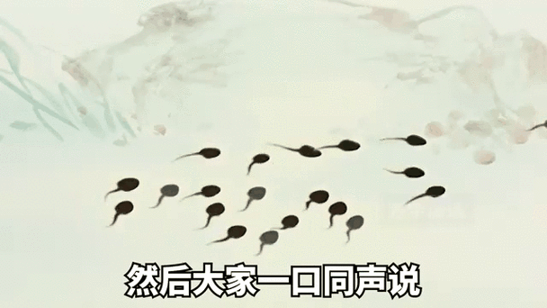 小蝌蚪旧版