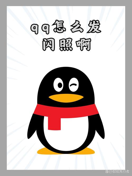 QQ闪照秒存助