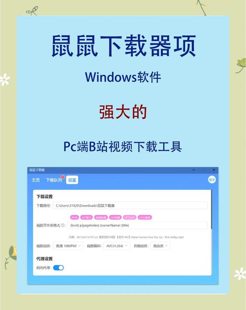 老鼠直播