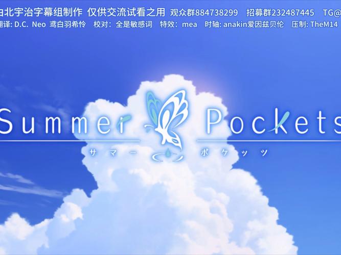 夏日口袋汉化版