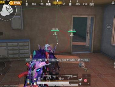 免费挂锁头透视锁血和平精英无限制版