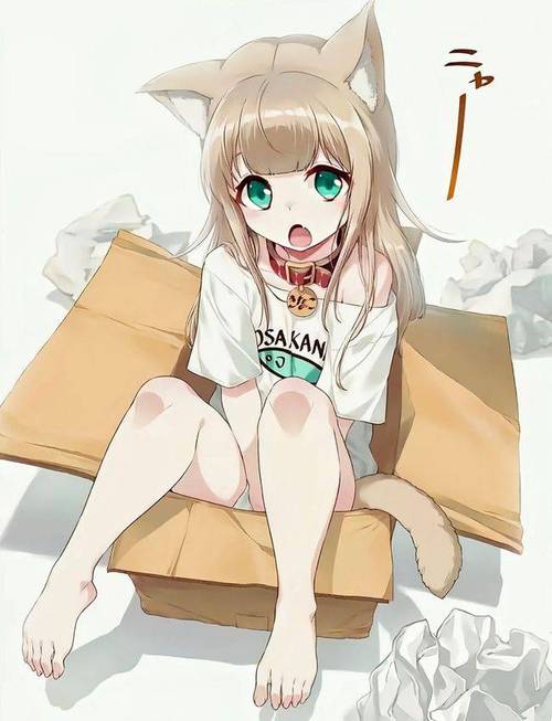 猫娘小萝莉游戏安卓版邀请版