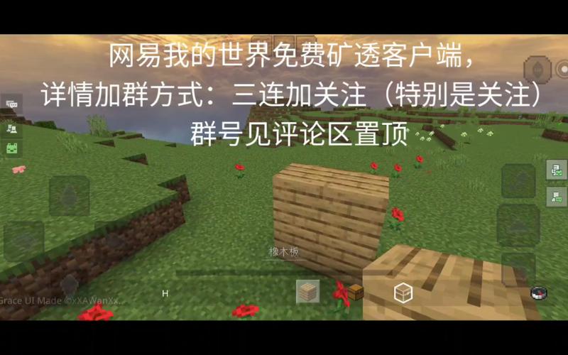 我的世界矿透挂网易版iOS