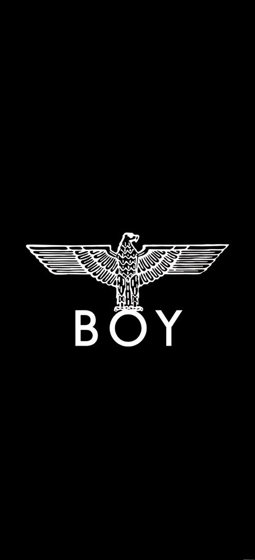 boylove版本下载安装免广告