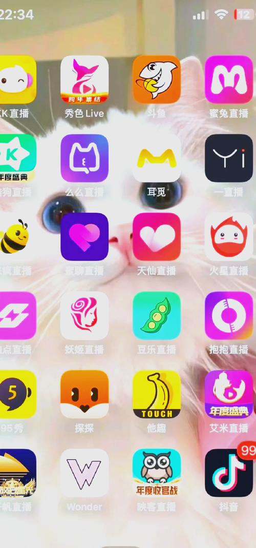 主播视频app下载安卓TV版