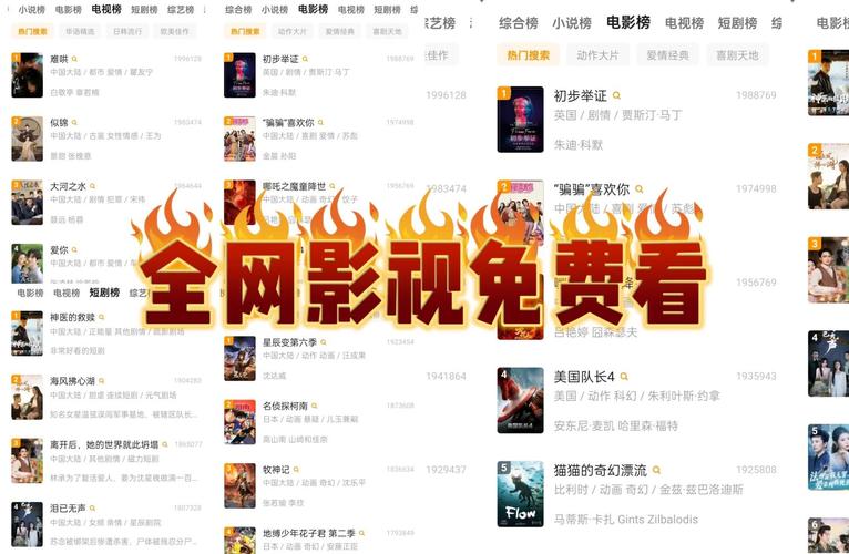 热播影视