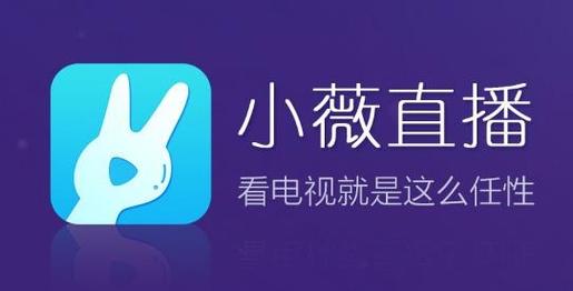 小薇直播电视版