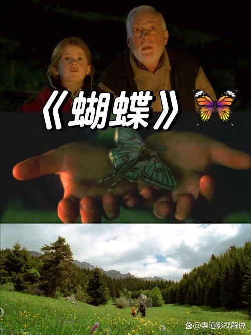 蝴蝶影视新版本