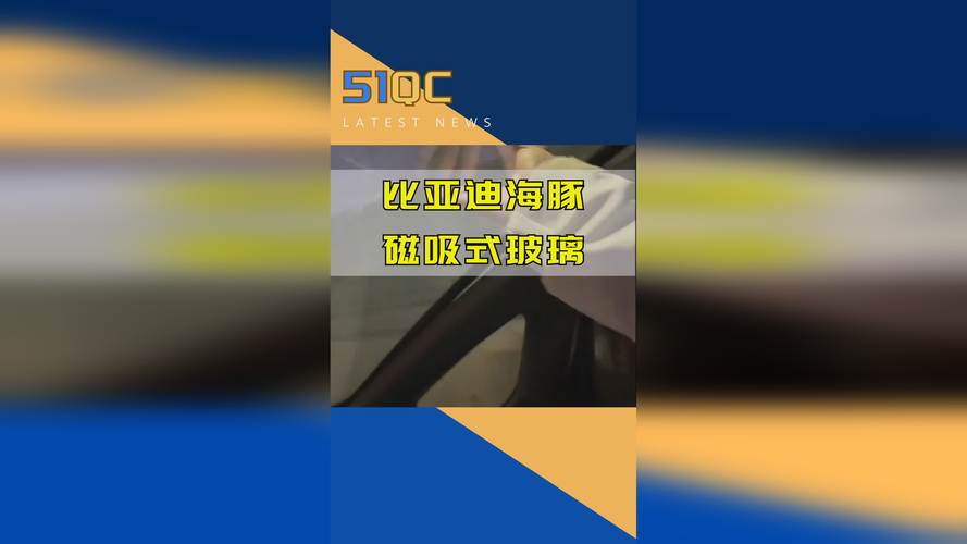 17·c13起草视频