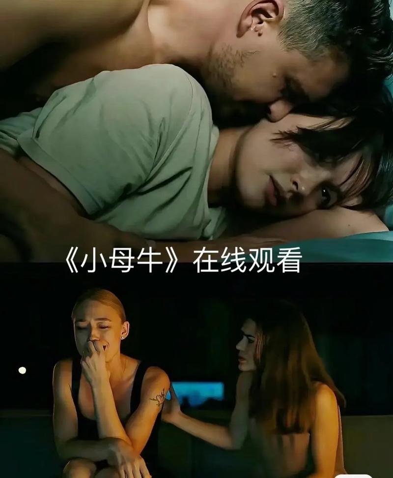 247看影视