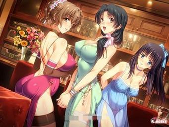 妻中蜜3汉化版