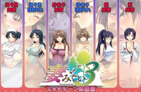 妻中蜜3汉化版