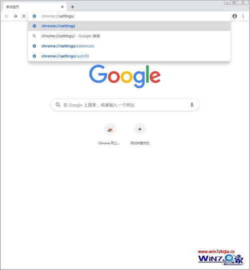 谷歌上网