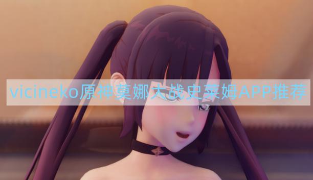 繁星宝库原神vicineko