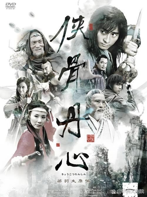 侠骨丹心
