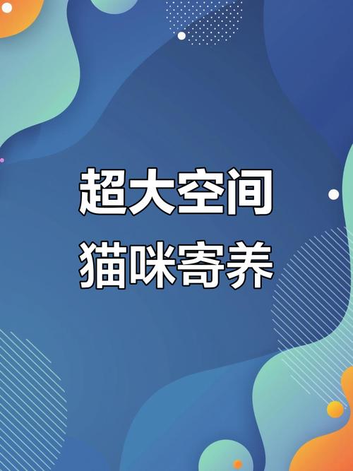 猫咪社区入口蓝