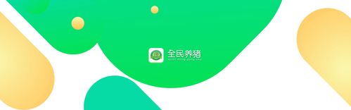 全民养猪平台