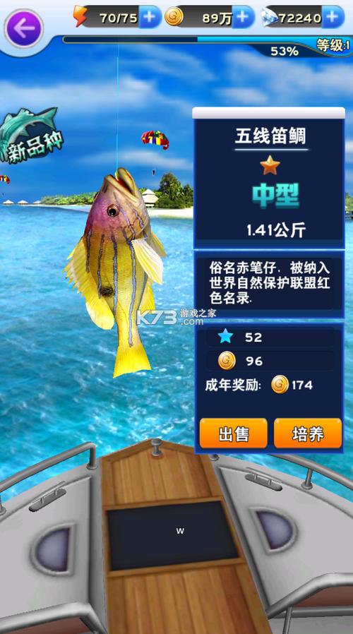全民钓鱼全民钓
