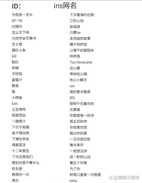 快手名字大全2