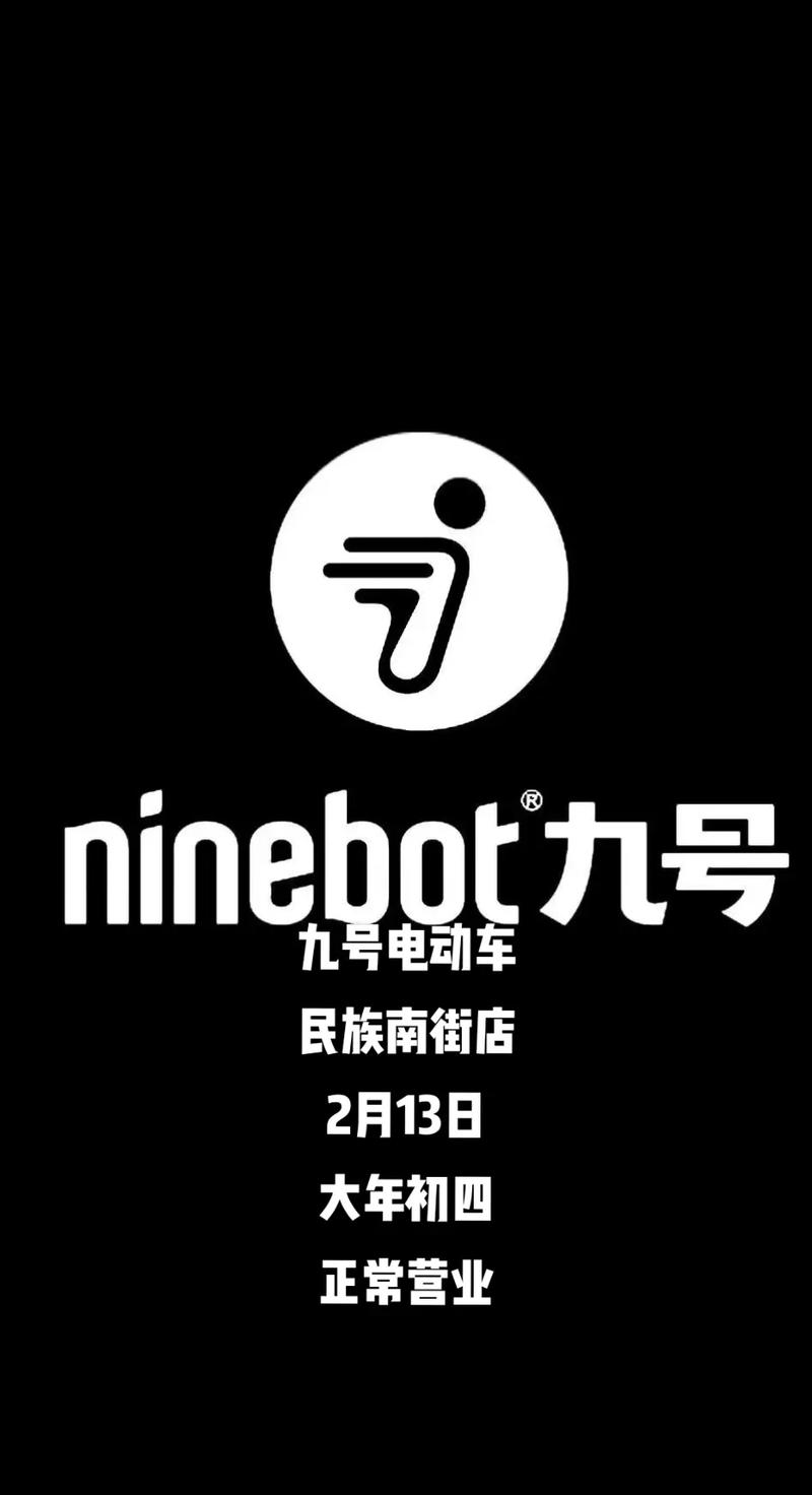 九号电动车改装绿色版