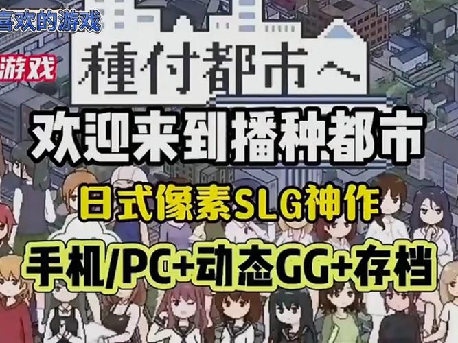 种付都市全角色