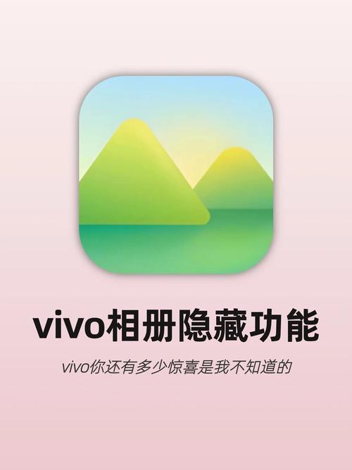 vivo相册下载安卓破解TV版