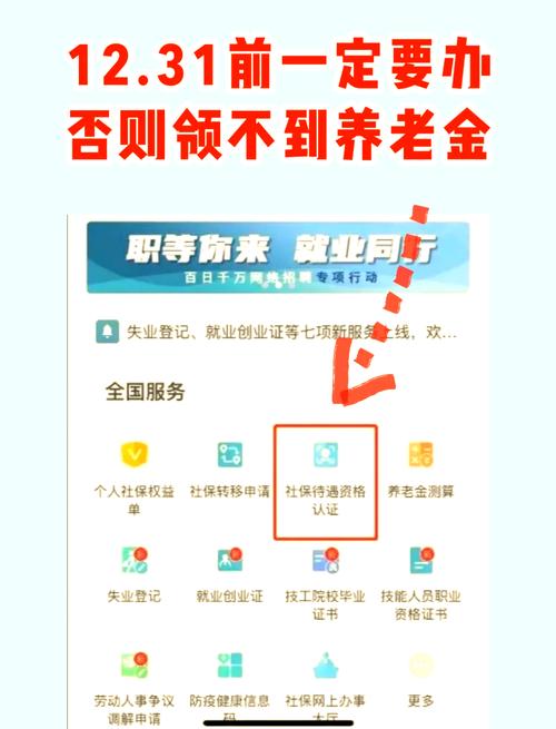 养老保险资格认