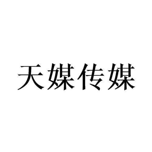 天美传媒汉化版