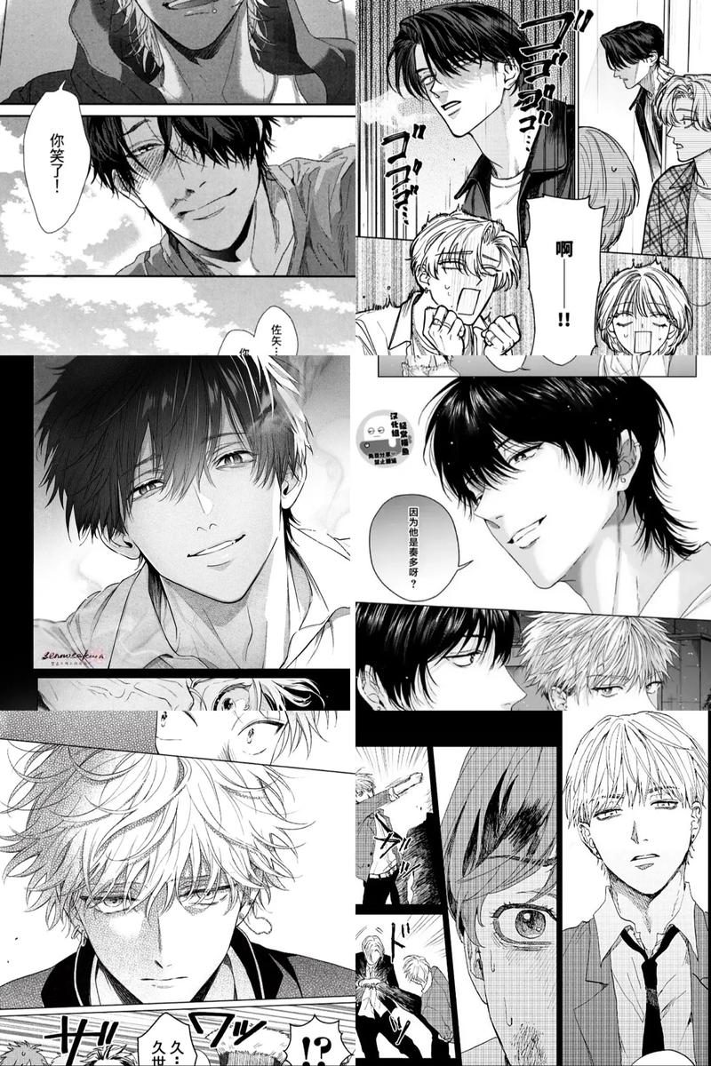 boylove 正版官方下载安卓破解红包版