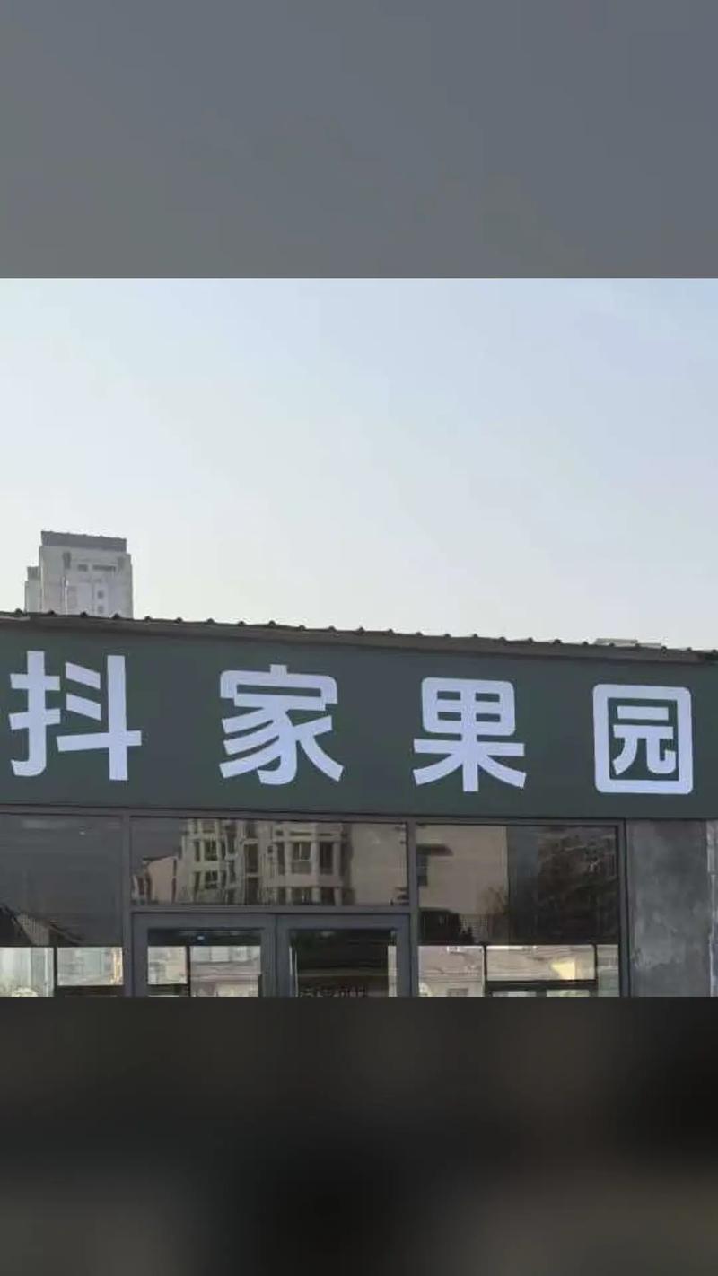 抖抖免登录版